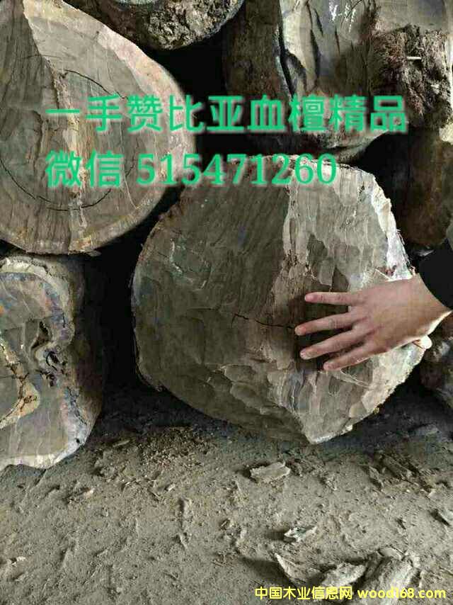 ٝ�ȁ�Ѫ̴���ϵ�Ԕ��(x��)��B