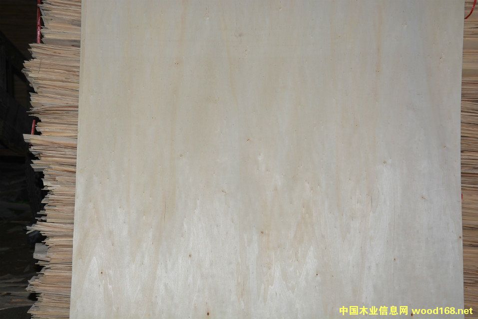 ���ח�ľо���Ԕ��(x��)��B