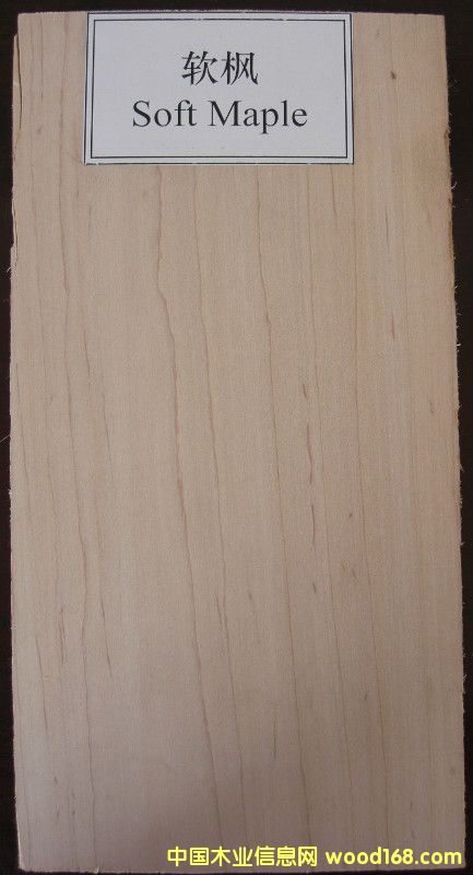 ܛ����Ԕ��(x��)��B