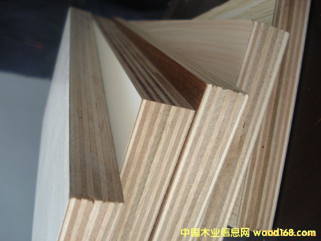 ȫ��ľ���Ӱ��Ԕ��(x��)��B