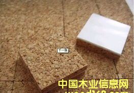 ˮ�����޲����|