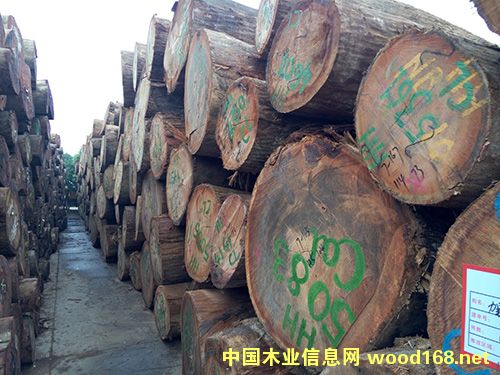 冰糖果的詳細(xì)介紹