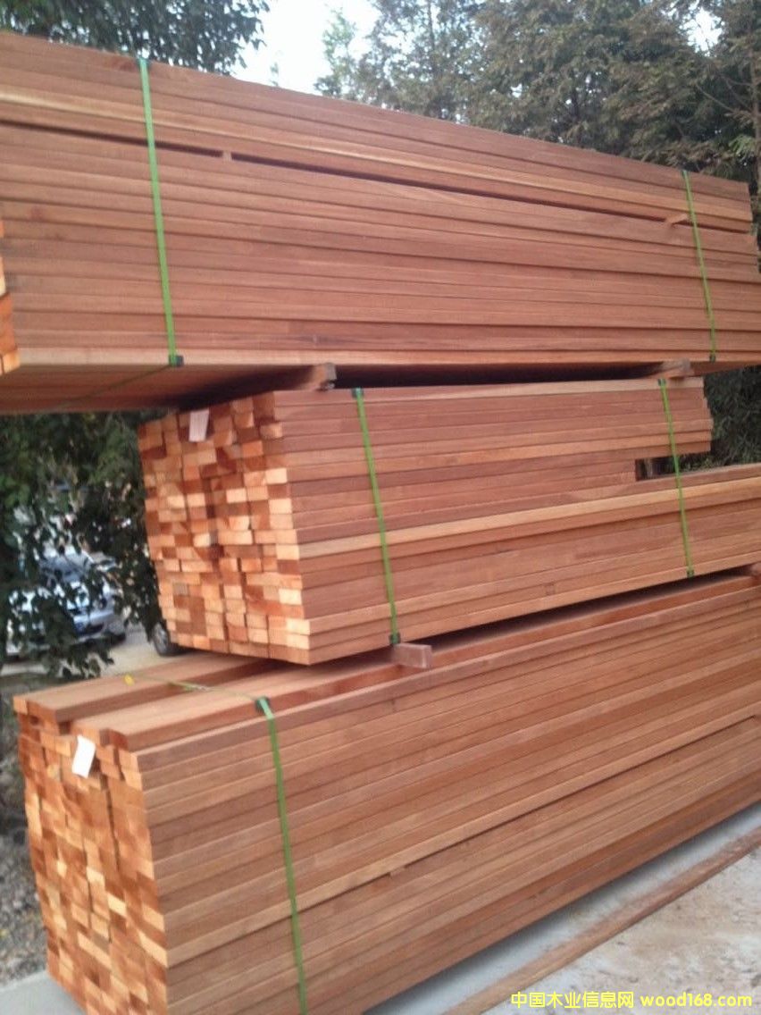 紅巴勞木的詳細(xì)介紹