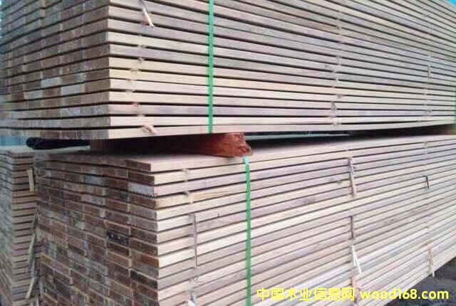 巴勞木的詳細(xì)介紹