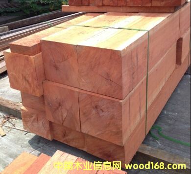 紅巴勞木的詳細(xì)介紹