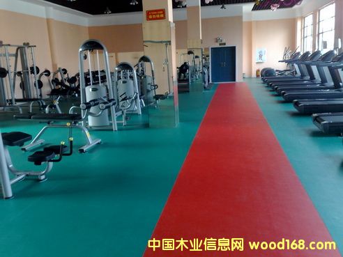 �������ذ���pvc���z���\�ӈ����z