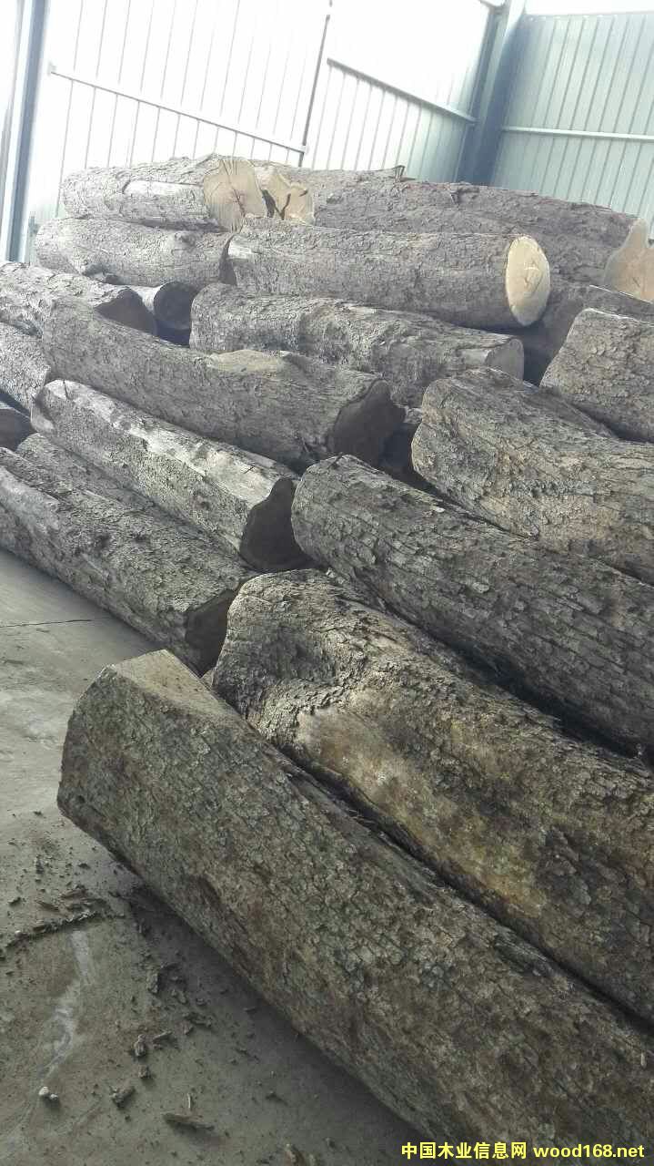 �����̴��Ԕ����B