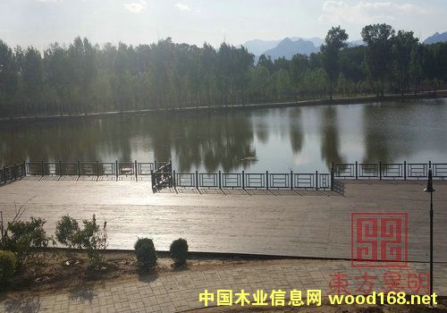 ����ľ�ذ��Ԕ��(x��)��B