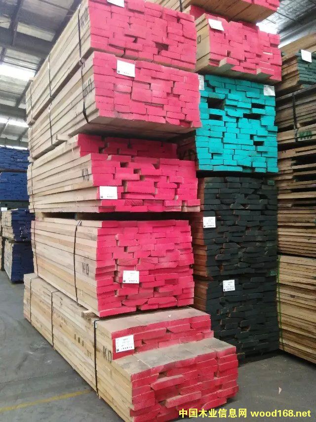 ��������ľ��Ԕ����B