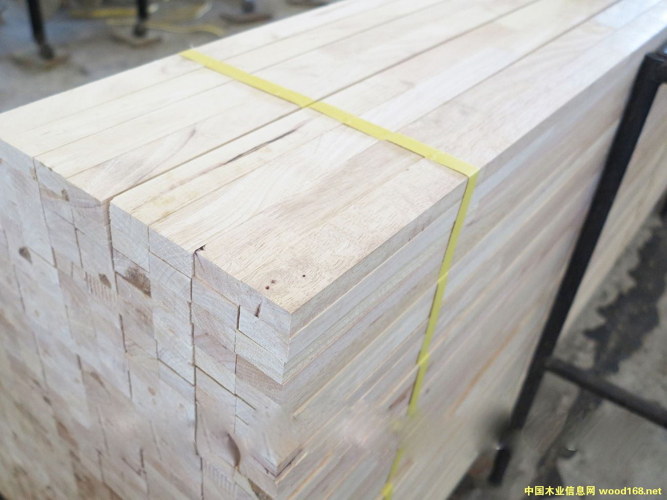 ���zľָ��ľ�l��Ԕ����B