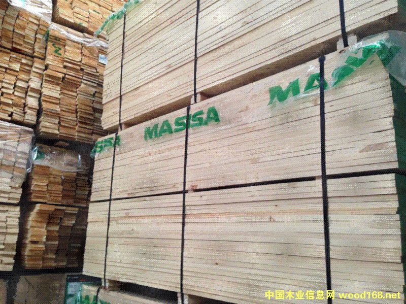 智利松的詳細(xì)介紹