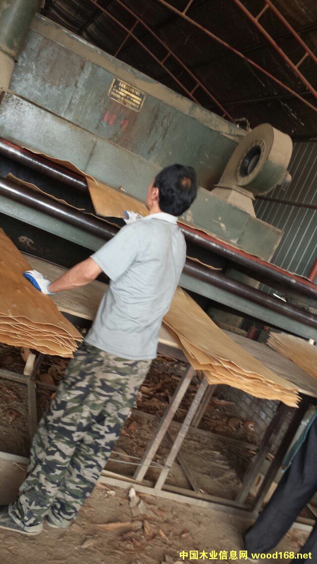 ��ľ�ΰ��Ԕ����B