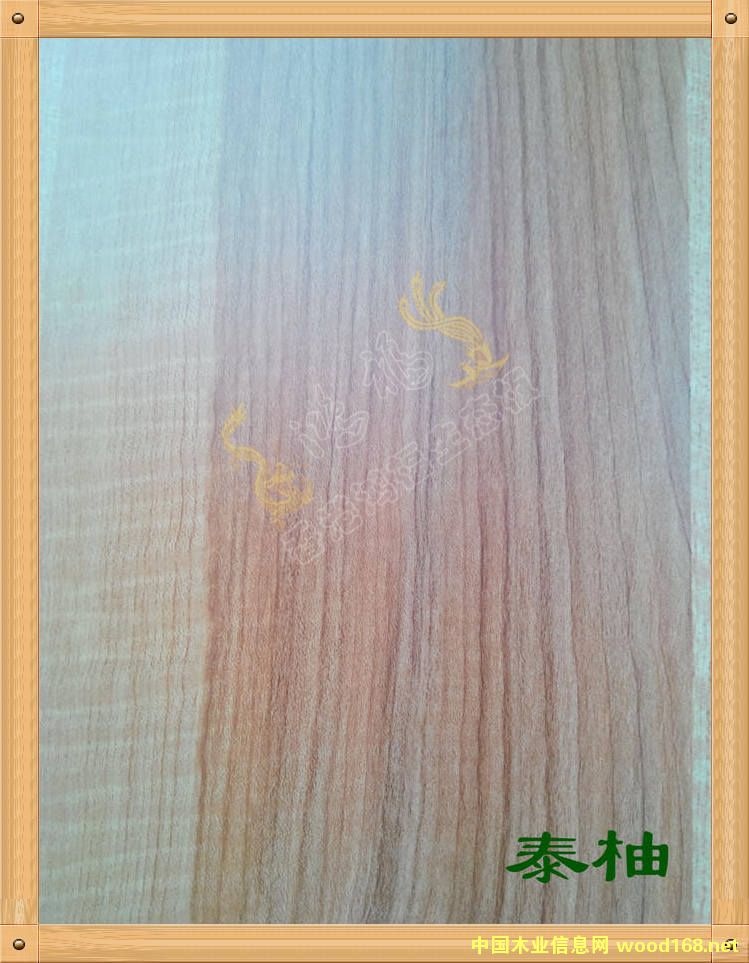 ����������B(t��i)��-̩�ֵ�Ԕ����B