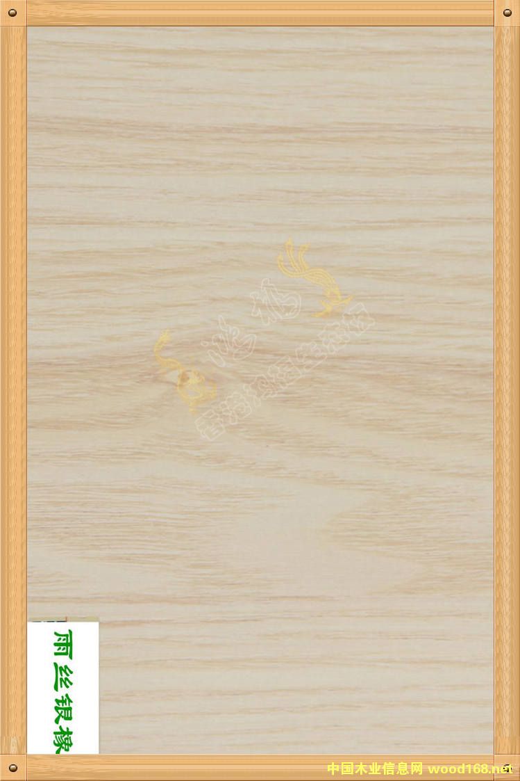 ����������B(t��i)��-��z�y���Ԕ����B