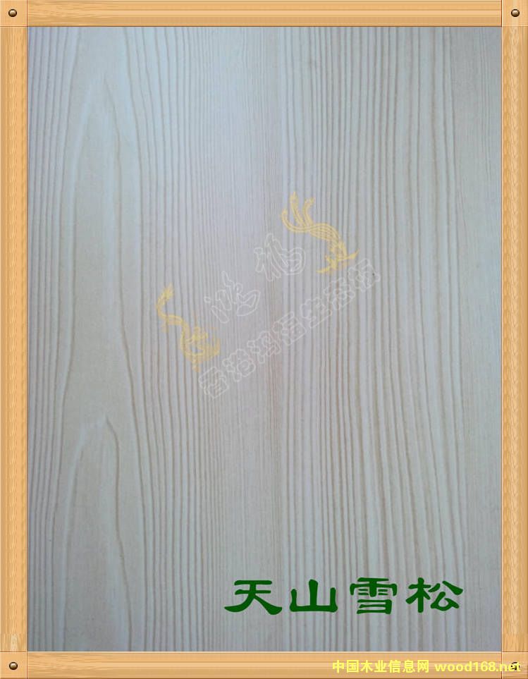 ����������B(t��i)��-��ɽѩ�ɵ�Ԕ����B