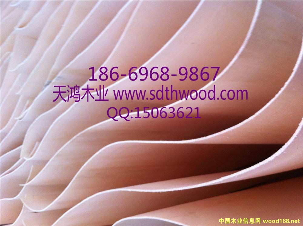 ��ľ�A��Ƥ��Ԕ����B