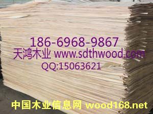 ��ľ����Ƥ��Ԕ����B