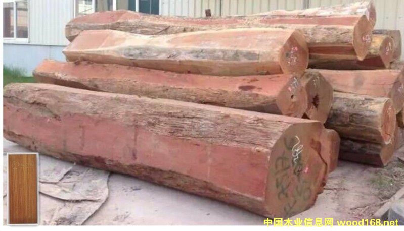 紅檀香的詳細(xì)介紹