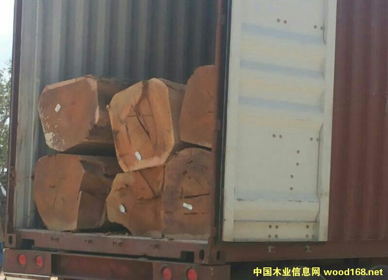 龍鳳檀的詳細(xì)介紹