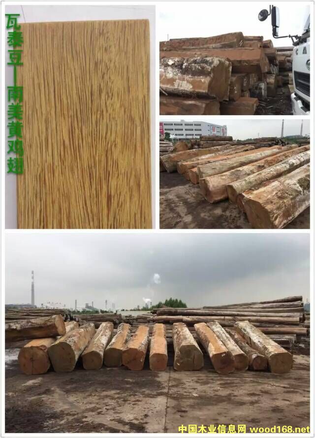 瓦泰豆的詳細(xì)介紹