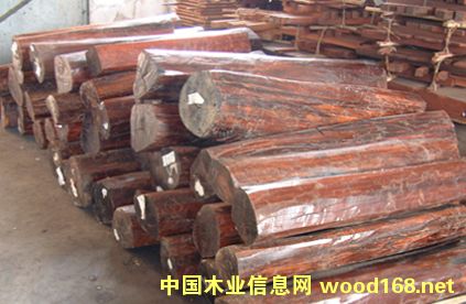 �K�����߼yľԭľ