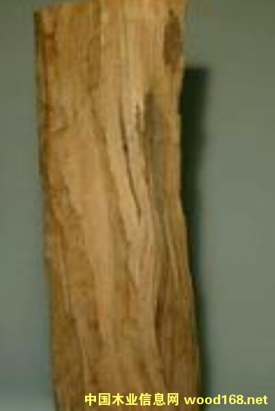 ����ӡ����ɽ̴��