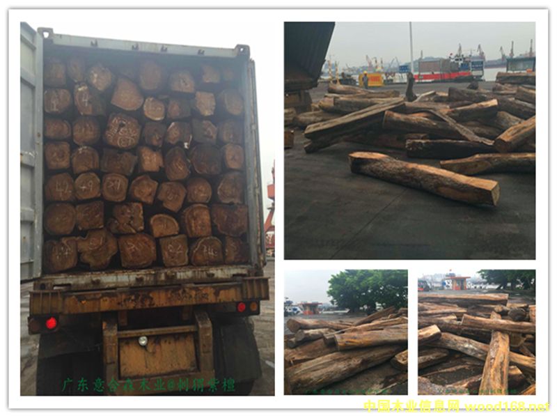 �����̴��Ԕ����B