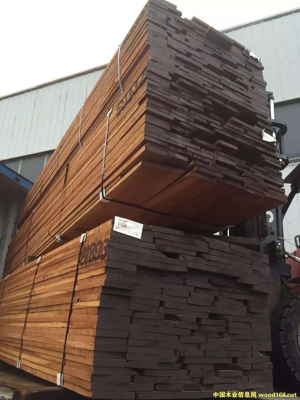 ����ľ��Ԕ����B