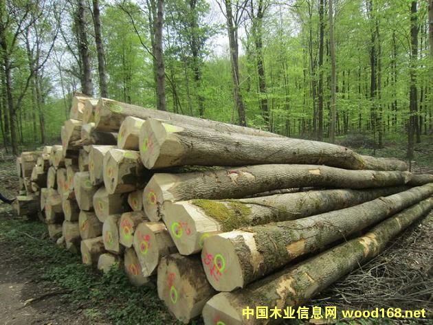 ˮ������Ԕ����B