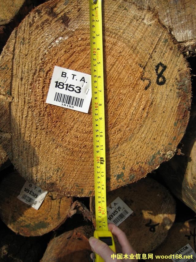 ݗ����ԭľ��Ԕ��(x��)��B