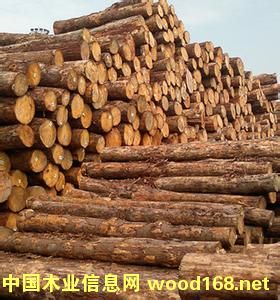 ݗ����ԭľ��Ԕ��(x��)��B