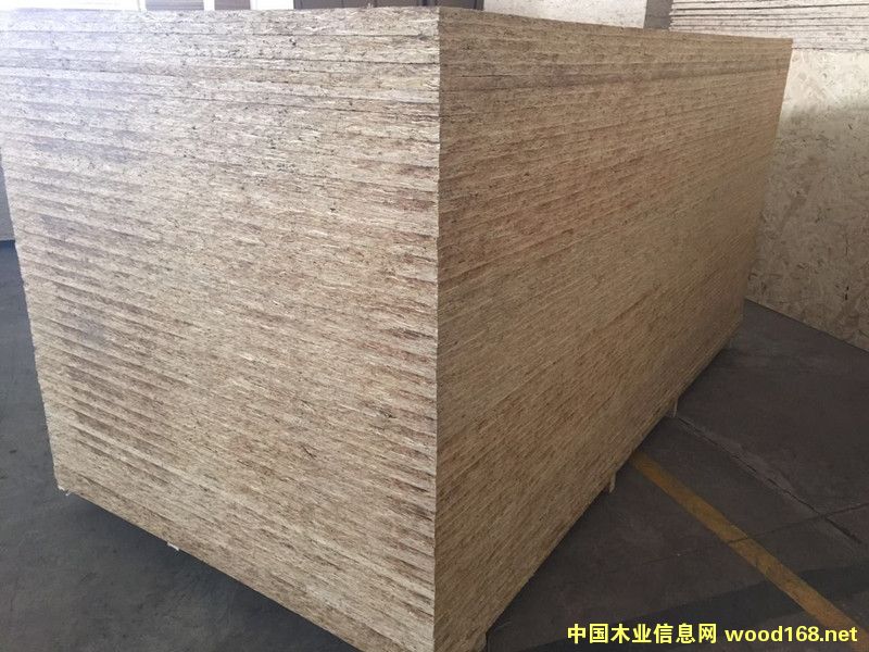 ľ������ӚW�ɰ�12mm