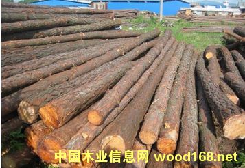 ����(y��ng)��ľ������ľ/ԭľ�����ӵ���ľ����Ԕ��(x��)��B