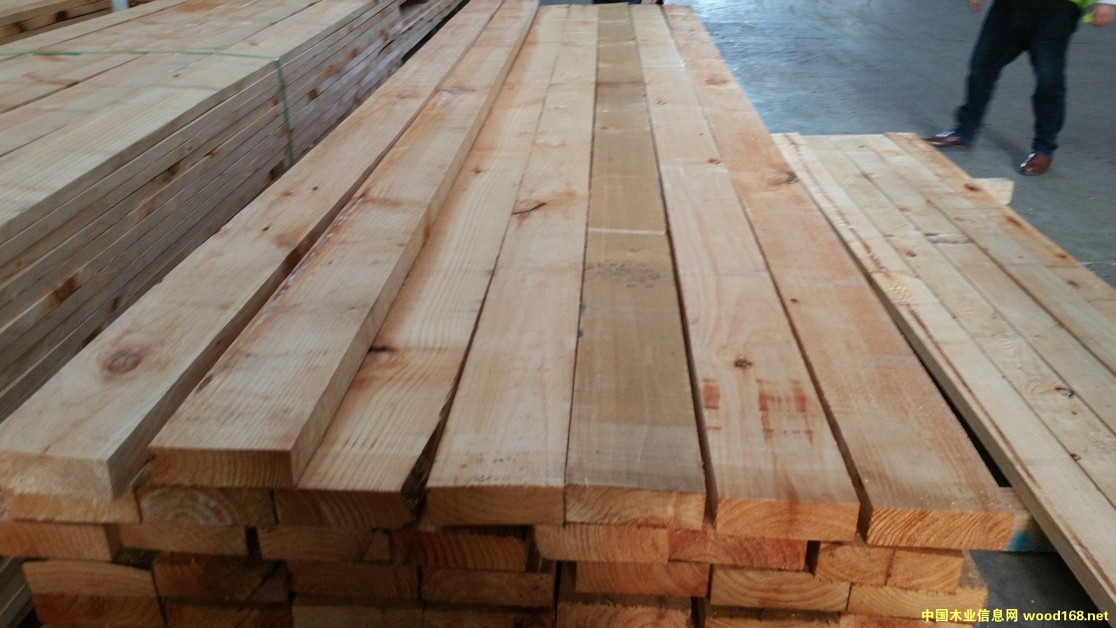 ݗ���ɰ�ĵ�Ԕ����B