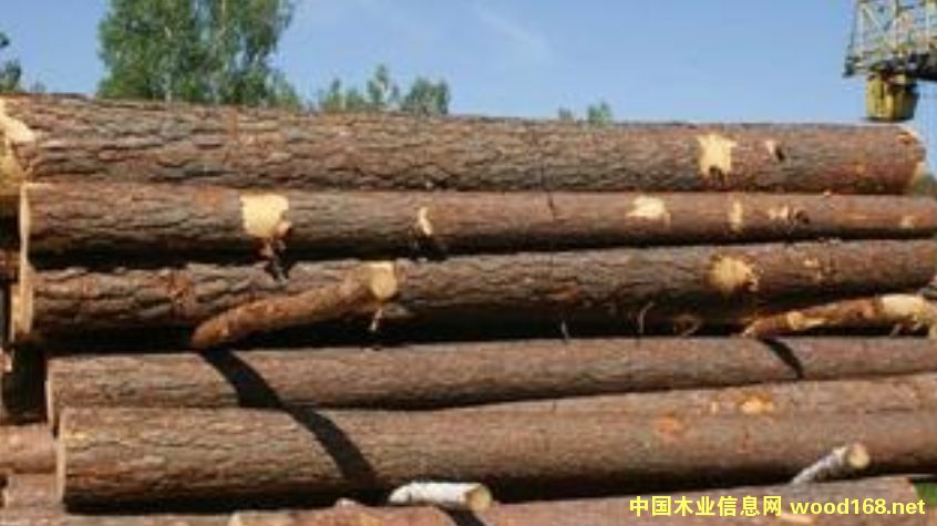 ������ԭľ