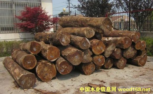 ���l(f��)���~��˼�R��(l��i)��˼ľ 