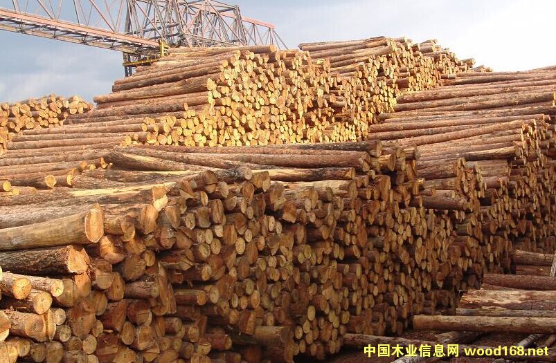 ���l(f��)����(n��i)��ͩľԭľ