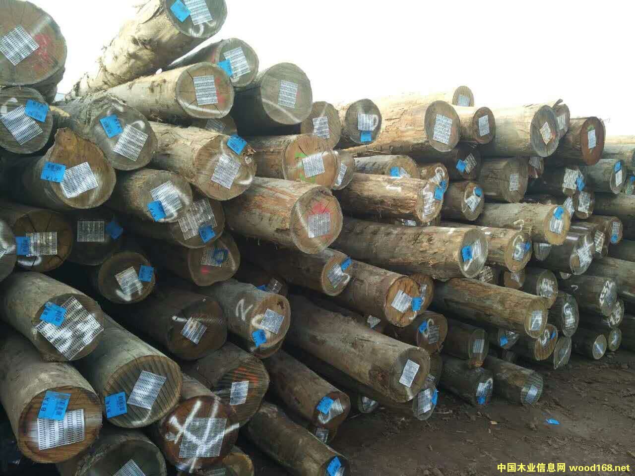 ������ľ��Ԕ��(x��)��B