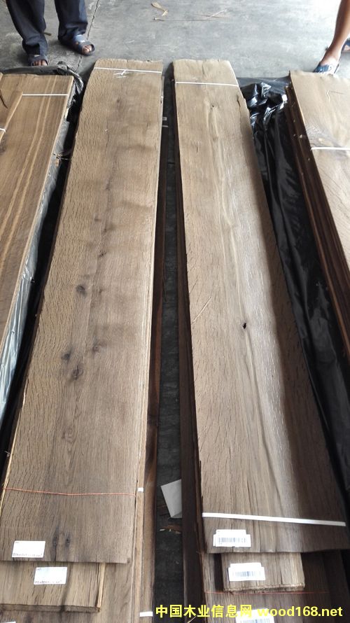 ��Ѭ����