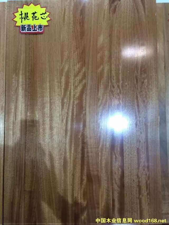 �һ�оֱƴ��ָ�Ӱ��Ԕ��(x��)��B