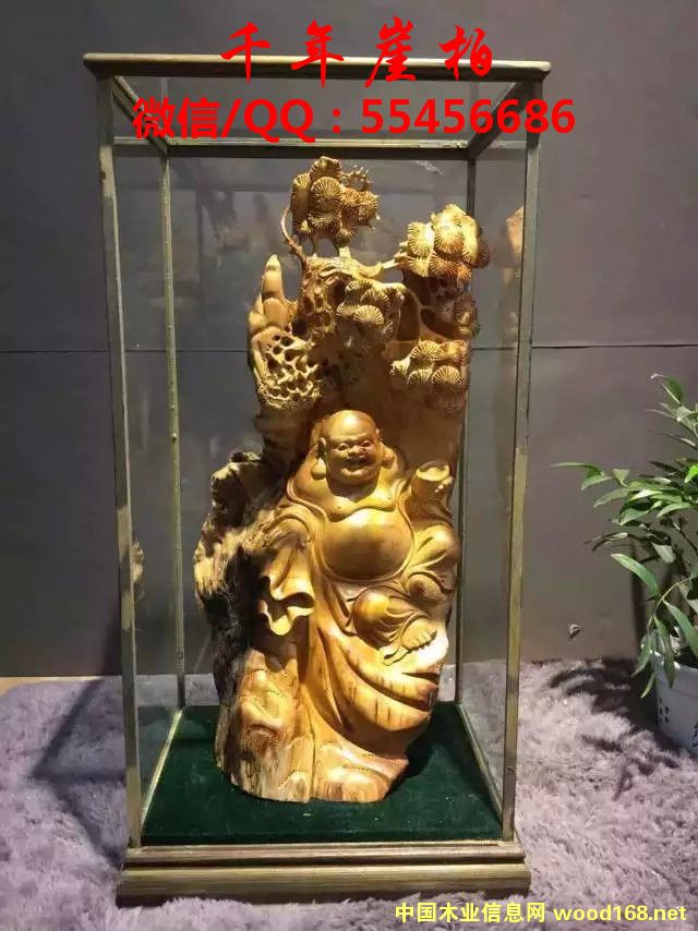 ̫��ɽ�°ظ����Ԕ����B