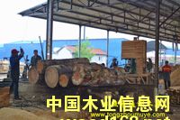 �����ɡ�ݗ����ľ����Ԕ����B