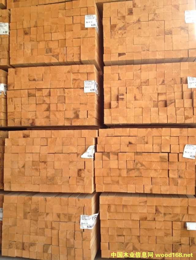 �����Fɼ��Ԕ��(x��)��B