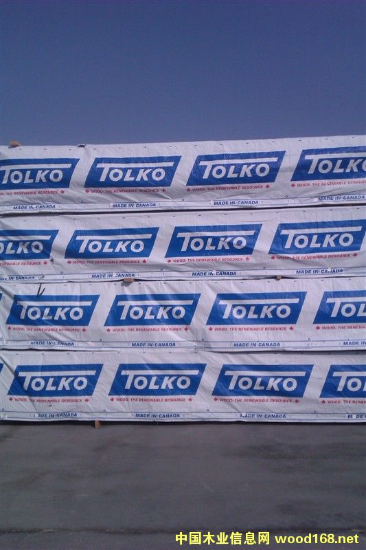 ���ô����SPF�������