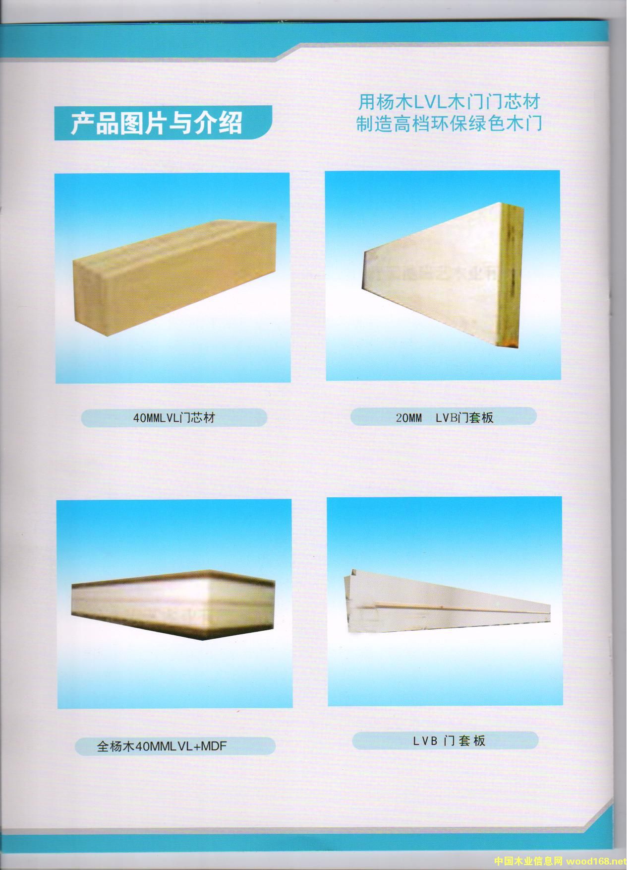 ��ľLVL��Ԕ����B