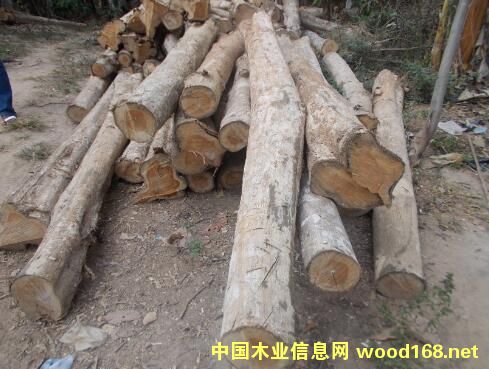 ������ľ��Ԕ��(x��)��B