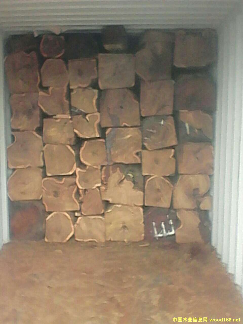 �����̴ROSEWOOD��Ԕ��(x��)��B