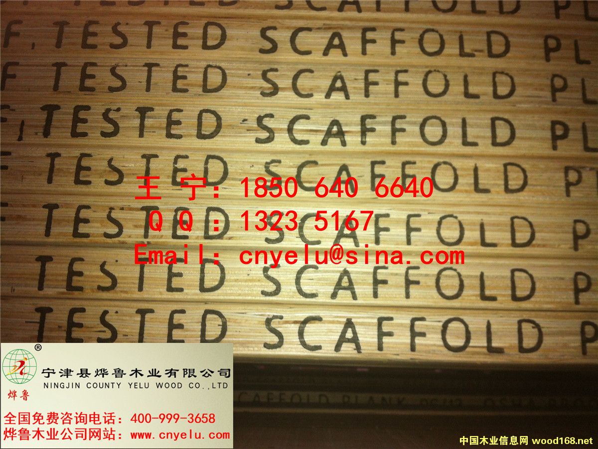 ��ľ�_̤��