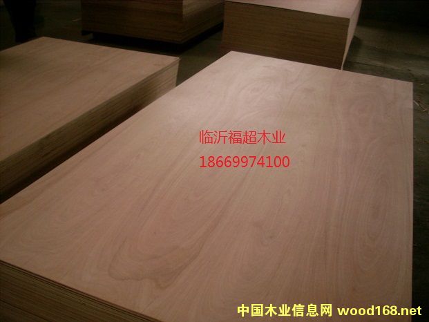 �U�P�� �z�ϰ� 12mm �����ň@