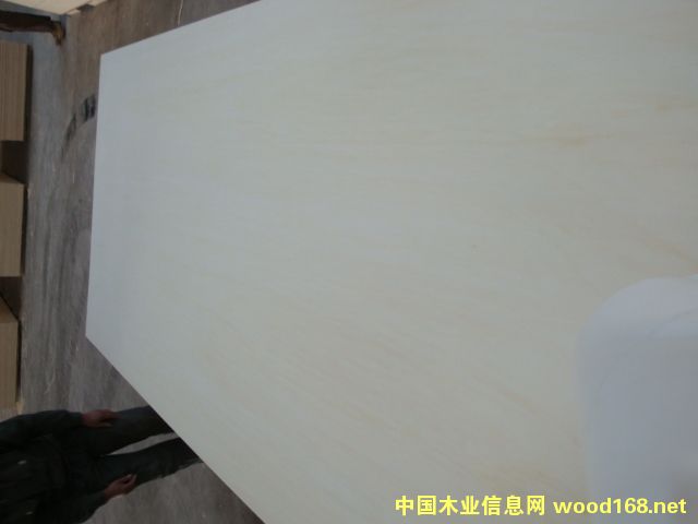 �S��ֱ�N�p�N�ؼ�Ư�ח�ľȫ���12��LVL�z�ϰ��Ԕ����B